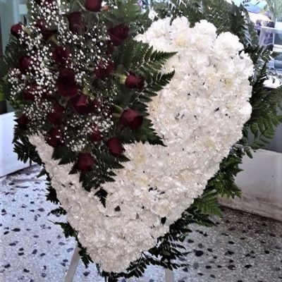 20190305_164859_600x800_470x640