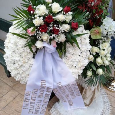 IMG_20191130_095053_600x800_480x640